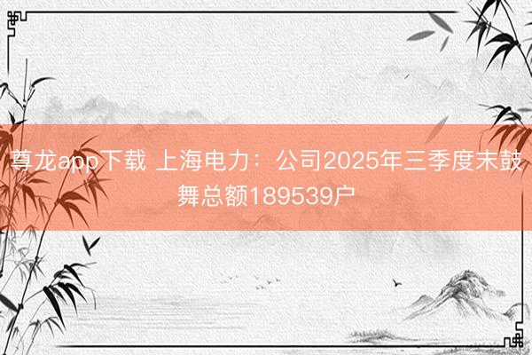 尊龙app下载 上海电力：公司2025年三季度末鼓舞总额189539户