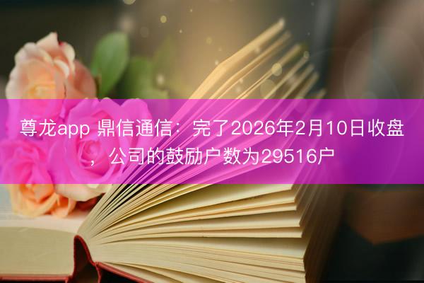 尊龙app 鼎信通信：完了2026年2月10日收盘，公司的鼓励户数为29516户