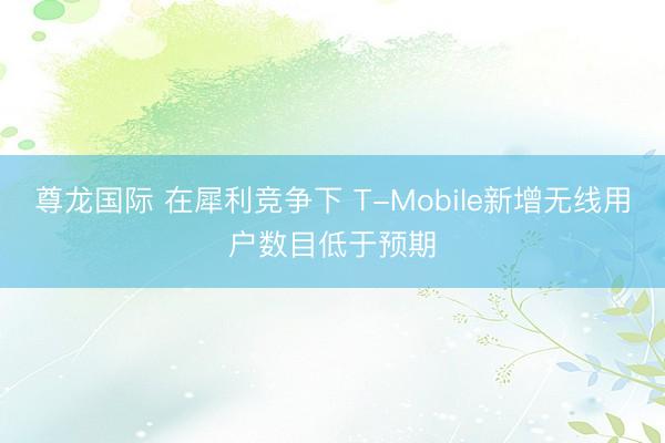 尊龙国际 在犀利竞争下 T-Mobile新增无线用户数目低于预期