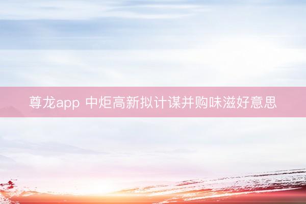 尊龙app 中炬高新拟计谋并购味滋好意思