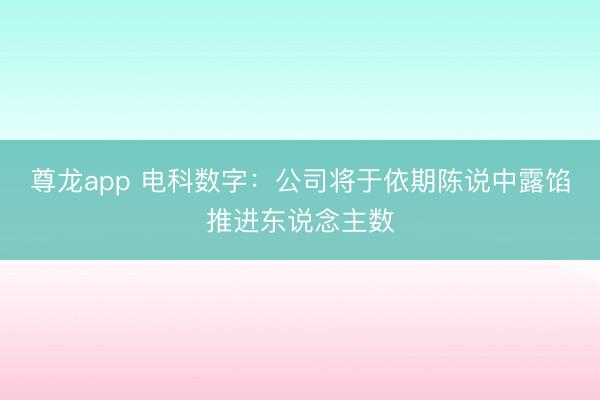 尊龙app 电科数字：公司将于依期陈说中露馅推进东说念主数