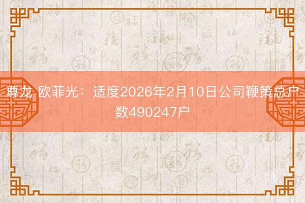 尊龙 欧菲光：适度2026年2月10日公司鞭策总户数490247户