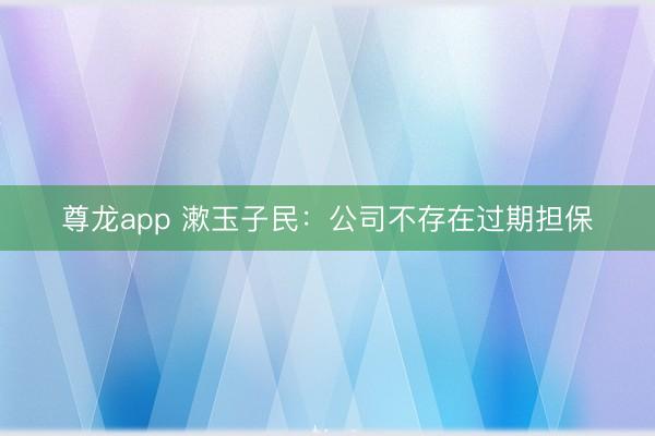 尊龙app 漱玉子民：公司不存在过期担保
