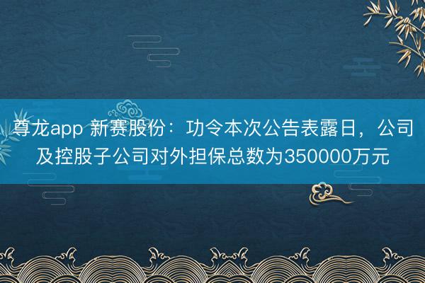 尊龙app 新赛股份：功令本次公告表露日，公司及控股子公司对外担保总数为350000万元