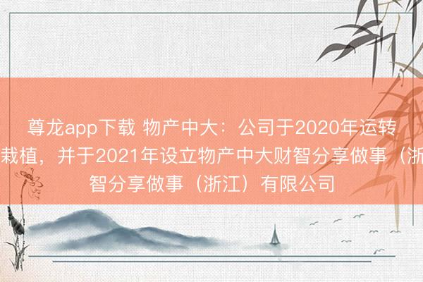 尊龙app下载 物产中大：公司于2020年运转财务分享中心栽植，并于2021年设立物产中大财智分享做事（浙江）有限公司
