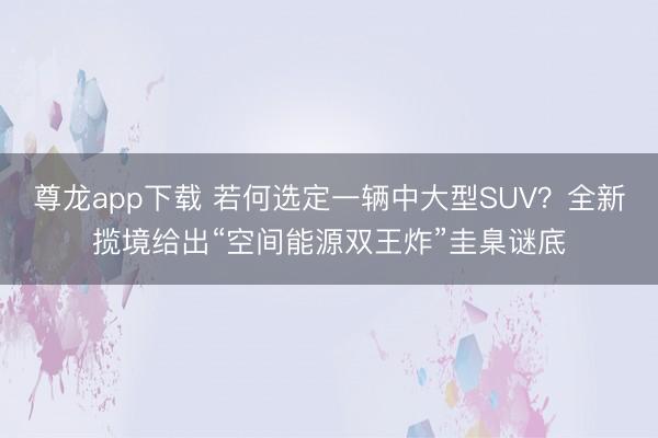 尊龙app下载 若何选定一辆中大型SUV？全新揽境给出“空间能源双王炸”圭臬谜底