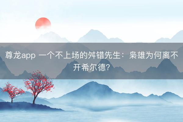 尊龙app 一个不上场的舛错先生：枭雄为何离不开希尔德？