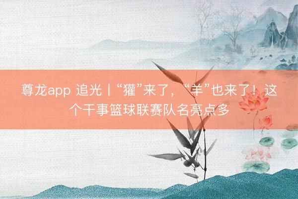 尊龙app 追光丨“獾”来了，“羊”也来了！这个干事篮球联赛队名亮点多