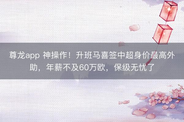 尊龙app 神操作！升班马喜签中超身价最高外助，年薪不及60万欧，保级无忧了