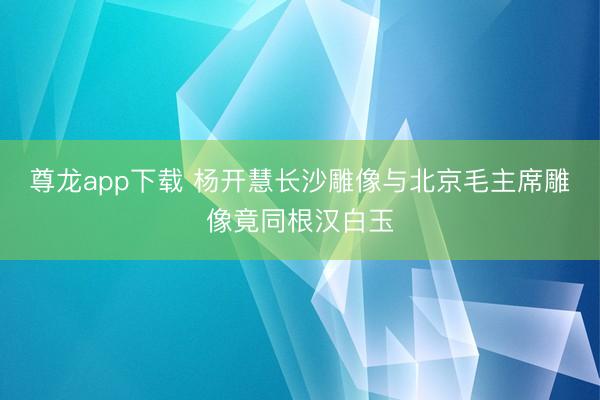 尊龙app下载 杨开慧长沙雕像与北京毛主席雕像竟同根汉白玉