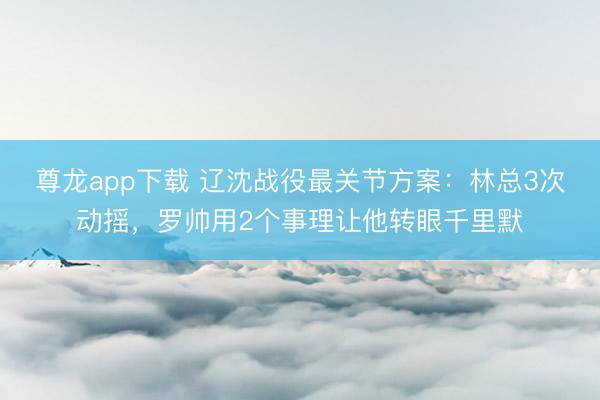 尊龙app下载 辽沈战役最关节方案：林总3次动摇，罗帅用2个事理让他转眼千里默