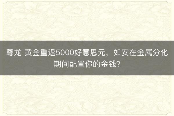 尊龙 黄金重返5000好意思元，如安在金属分化期间配置你的金钱？