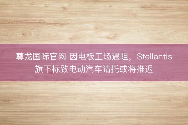 尊龙国际官网 因电板工场遇阻,Stellantis旗下标致电动汽车请托或将推迟