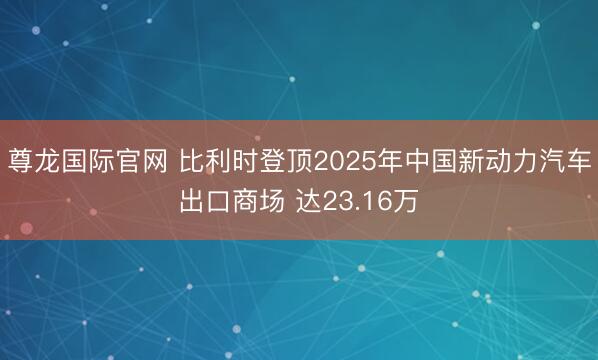 尊龙国际官网 比利时登顶2025年中国新动力汽车出口商场 达23.16万