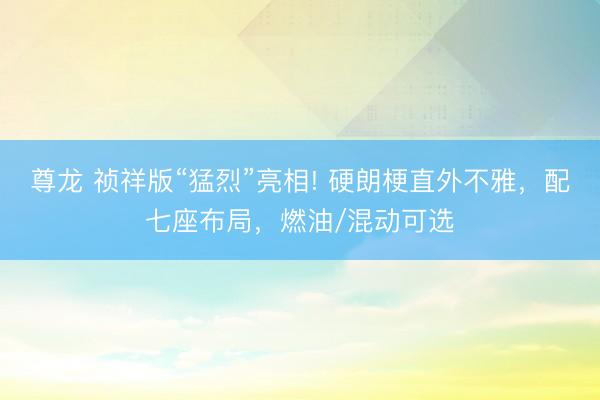 尊龙 祯祥版“猛烈”亮相! 硬朗梗直外不雅，配七座布局，燃油/混动可选