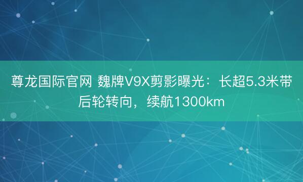 尊龙国际官网 魏牌V9X剪影曝光:长超5.3米带后轮转向,续航1300km