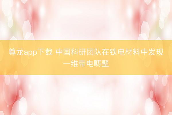 尊龙app下载 中国科研团队在铁电材料中发现一维带电畴壁