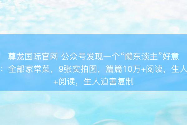 尊龙国际官网 公众号发现一个“懒东谈主”好意思食玩法：全部家常菜，9张实拍图，篇篇10万+阅读，生人迫害复制