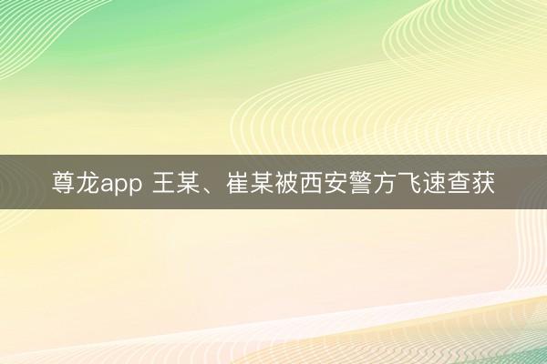 尊龙app 王某、崔某被西安警方飞速查获