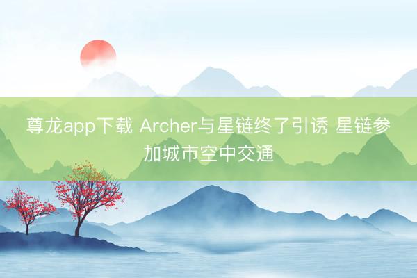 尊龙app下载 Archer与星链终了引诱 星链参加城市空中交通