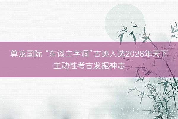 尊龙国际 “东谈主字洞”古迹入选2026年天下主动性考古发掘神志