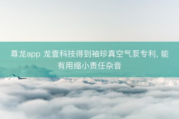 尊龙app 龙壹科技得到袖珍真空气泵专利， 能有用缩小责任杂音