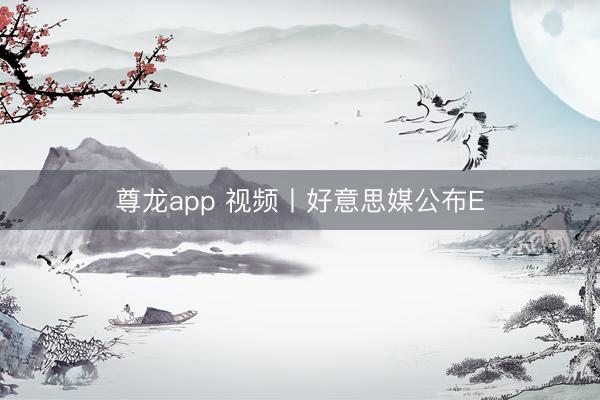 尊龙app 视频丨好意思媒公布E