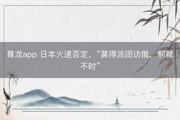 尊龙app 日本火速否定,“莫得派团访俄,制裁不时”