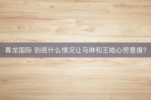 尊龙国际 到底什么情况让马琳和王皓心劳意攘?