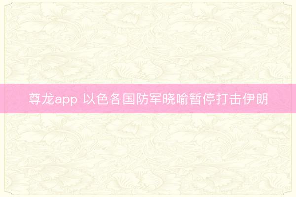 尊龙app 以色各国防军晓喻暂停打击伊朗