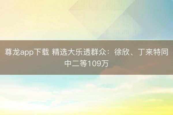 尊龙app下载 精选大乐透群众：徐欣、丁来特同中二等109万