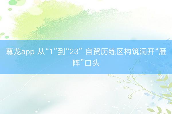 尊龙app 从“1”到“23” 自贸历练区构筑洞开“雁阵”口头