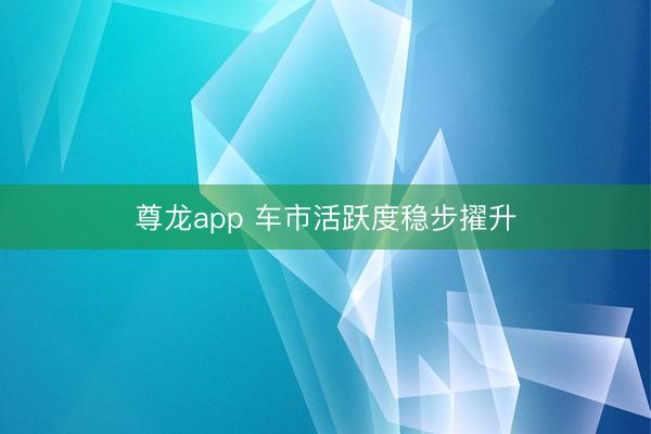 尊龙app 车市活跃度稳步擢升