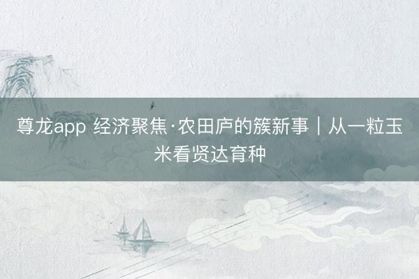 尊龙app 经济聚焦·农田庐的簇新事｜从一粒玉米看贤达育种