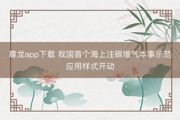 尊龙app下载 我国首个海上注碳增气本事示范应用样式开动