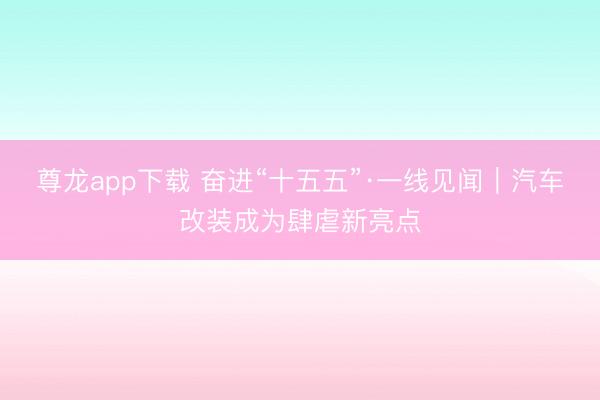 尊龙app下载 奋进“十五五”·一线见闻｜汽车改装成为肆虐新亮点