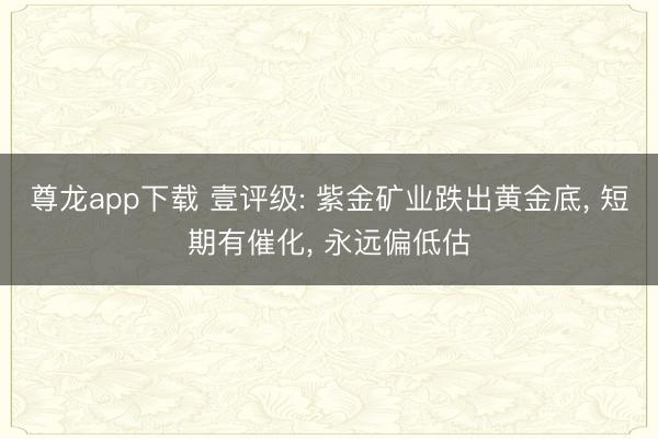 尊龙app下载 壹评级: 紫金矿业跌出黄金底， 短期有催化， 永远偏低估