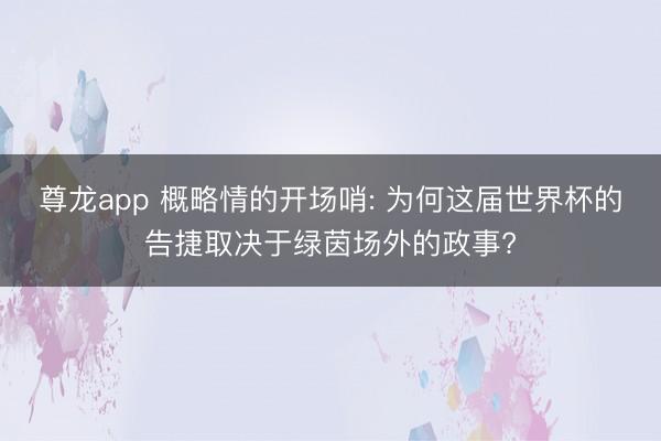 尊龙app 概略情的开场哨: 为何这届世界杯的告捷取决于绿茵场外的政事?