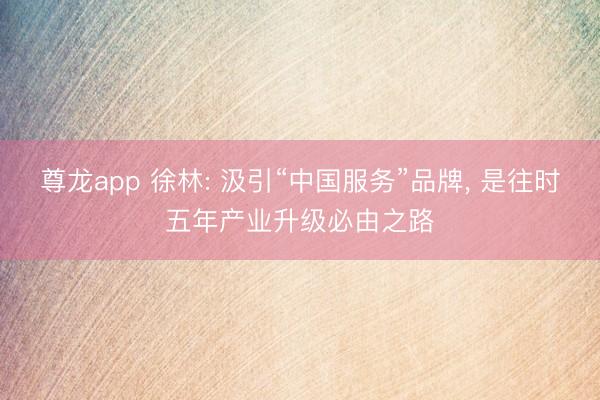 尊龙app 徐林: 汲引“中国服务”品牌， 是往时五年产业升级必由之路