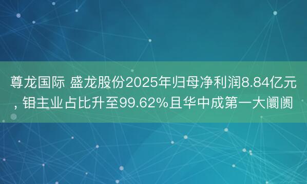 尊龙国际 盛龙股份2025年归母净利润8.84亿元， 钼主业占比升至99.62%且华中成第一大阛阓