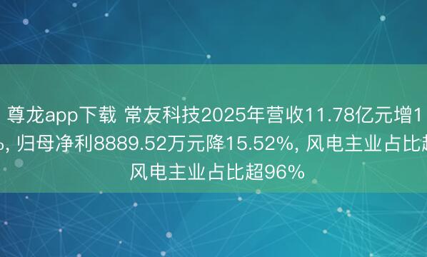 尊龙app下载 常友科技2025年营收11.78亿元增12.20%， 归母净利8889.52万元降15.52%， 风电主业占比超96%