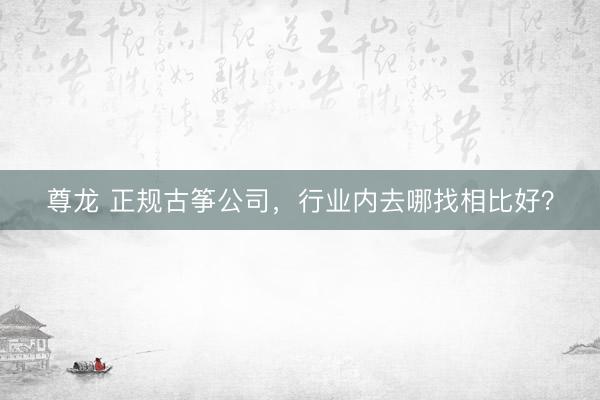尊龙 正规古筝公司，行业内去哪找相比好？