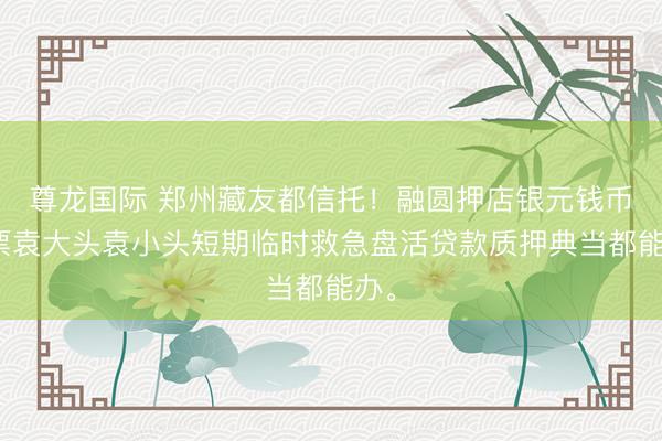 尊龙国际 郑州藏友都信托！融圆押店银元钱币邮票袁大头袁小头短期临时救急盘活贷款质押典当都能办。
