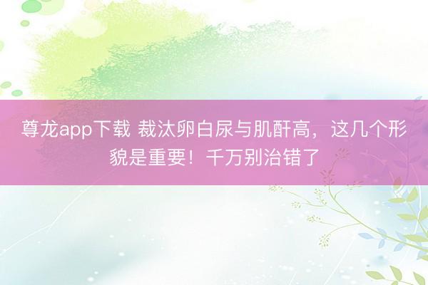尊龙app下载 裁汰卵白尿与肌酐高，这几个形貌是重要！千万别治错了