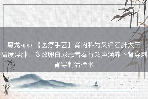 尊龙app 【医疗手艺】肾内科为又名乙肝大三阳统一高度浮肿、多数卵白尿患者奉行超声涵养下肾穿刺活检术