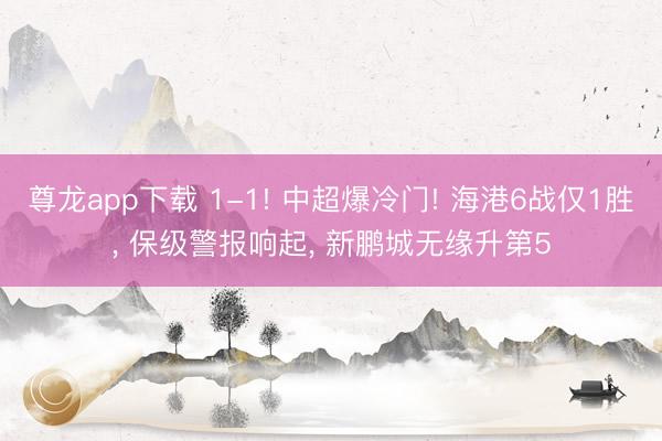 尊龙app下载 1-1! 中超爆冷门! 海港6战仅1胜， 保级警报响起， 新鹏城无缘升第5