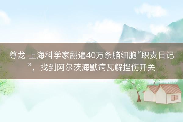 尊龙 上海科学家翻遍40万条脑细胞“职责日记”，找到阿尔茨海默病瓦解挫伤开关