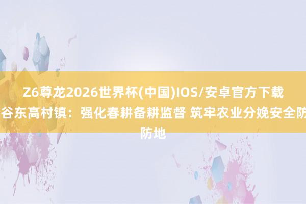 Z6尊龙2026世界杯(中国)IOS/安卓官方下载 平谷东高村镇：强化春耕备耕监督 筑牢农业分娩安全防地