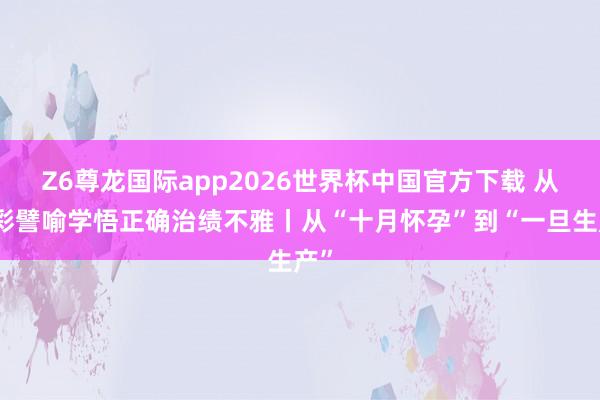 Z6尊龙国际app2026世界杯中国官方下载 从精彩譬喻学悟正确治绩不雅丨从“十月怀孕”到“一旦生产”
