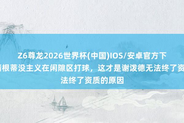 Z6尊龙2026世界杯(中国)IOS/安卓官方下载 在火箭根蒂没主义在闲隙区打球，这才是谢泼德无法终了资质的原因